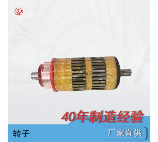 ZQ-7（新3噸機(jī)車(chē)）直流牽引電機(jī)電樞