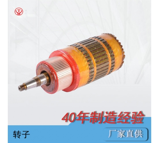 ZQ-1.9輔助直流牽引電機(jī)電樞（250V，550V）